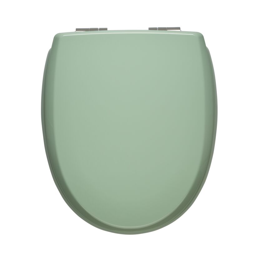 Grüner WC-Sitz von oben