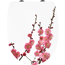 Verkleinertes Bild von Thermoplast WC Sitz 'Kirschblüte' mit Absenkautomatik