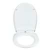 WC-Sitz 'Cement' mit Absenkautomatik Thermoplast