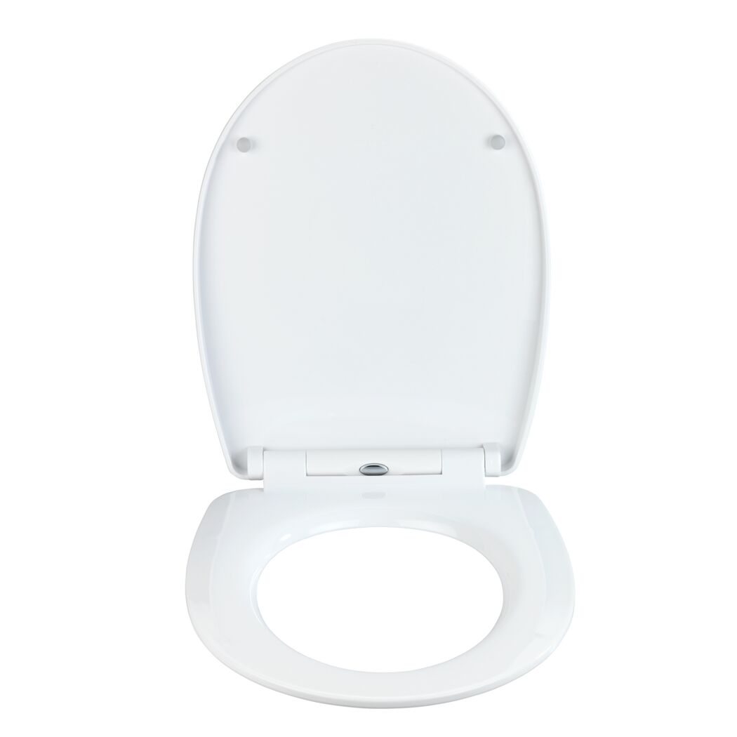 WC-Sitz 'Cement' mit Absenkautomatik Thermoplast
