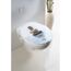 WC-Sitz 'Meditation' mit Absenkautomatik Duroplast