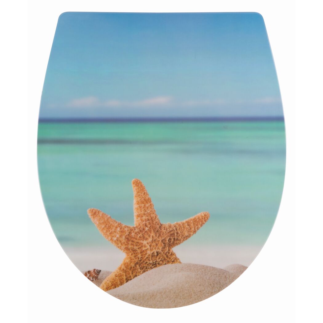 WC-Sitz mit Seestern am Strand