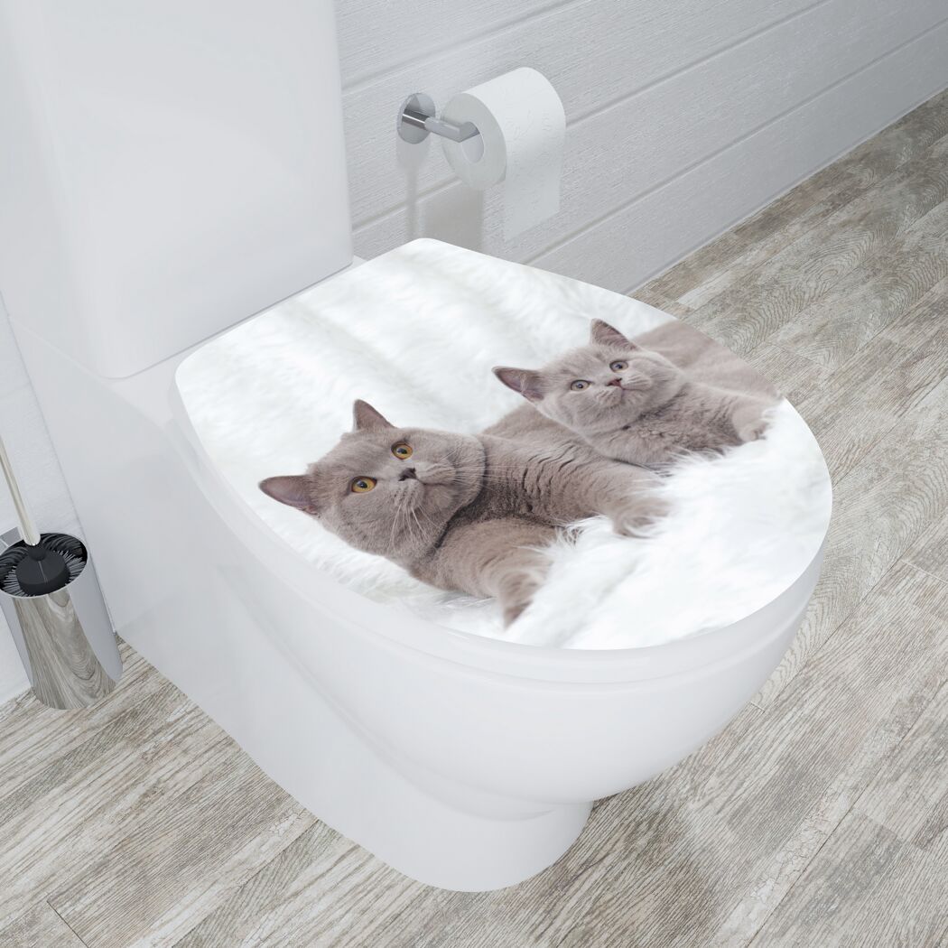 WC-Sitz mit zwei grauen Katzen