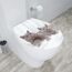WC-Sitz mit zwei grauen Katzen