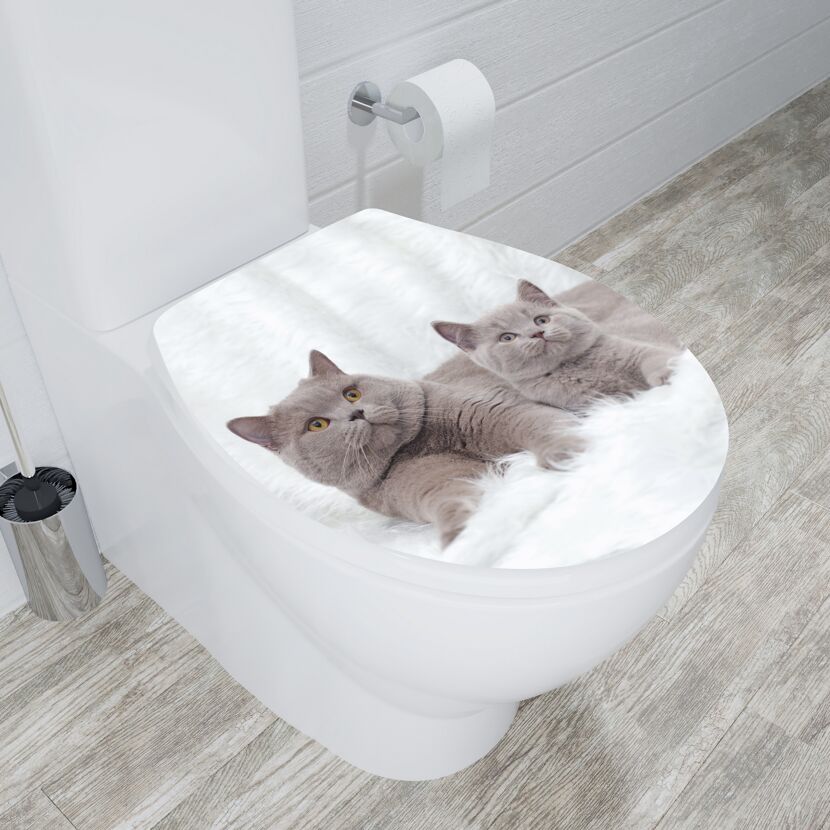 WC-Sitz mit zwei grauen Katzen