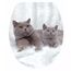 WC Sitz 'Katze' mit Absenkautomatik Duroplast