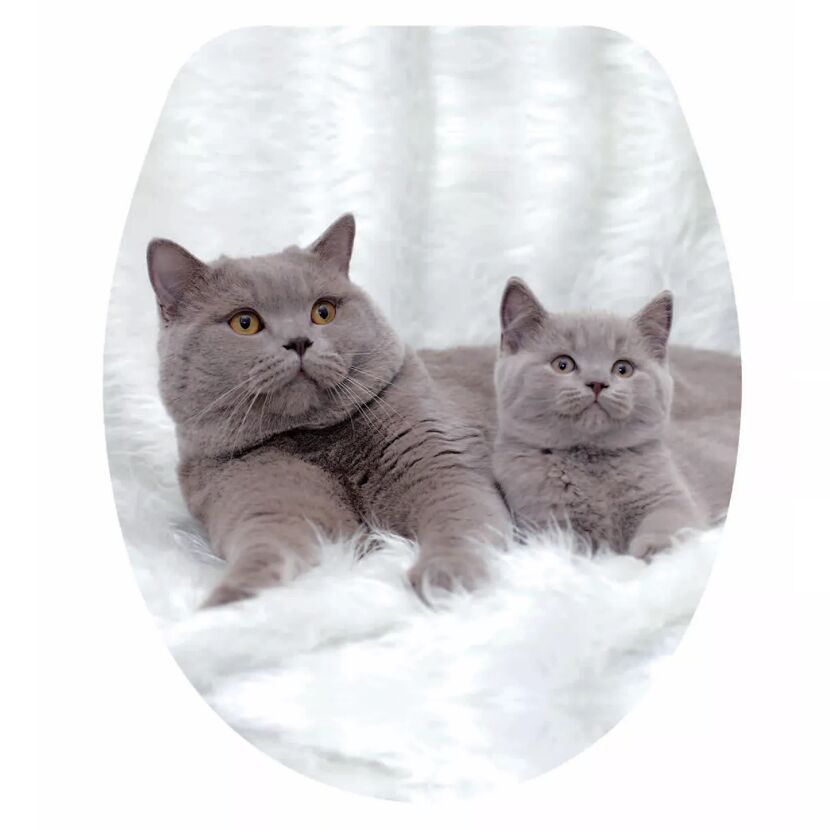WC Sitz 'Katze' mit Absenkautomatik Duroplast