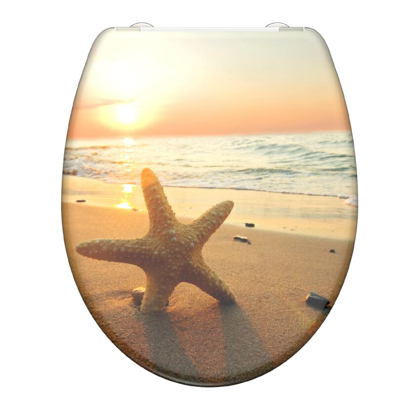 WC-Sitz mit Seesternmotiv am Strand bei Sonnenuntergang