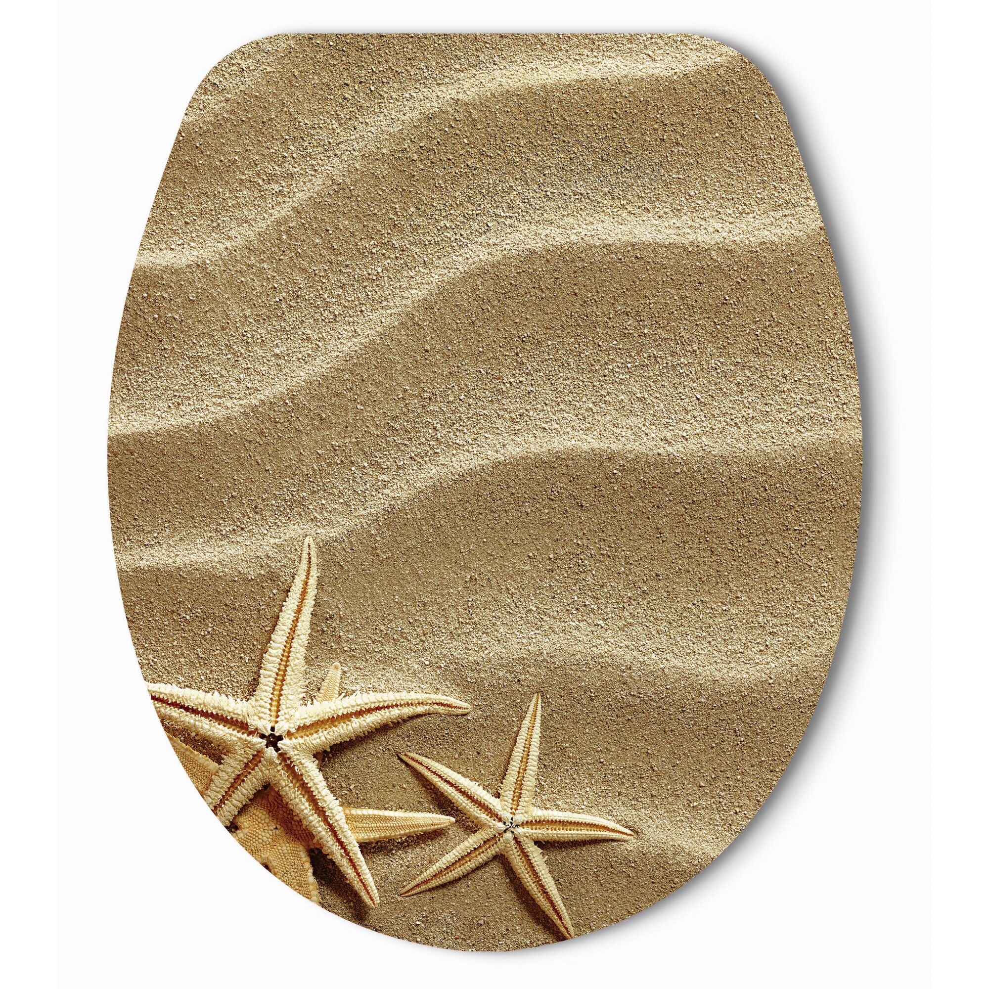 WC-Sitz mit Muscheln und Sand