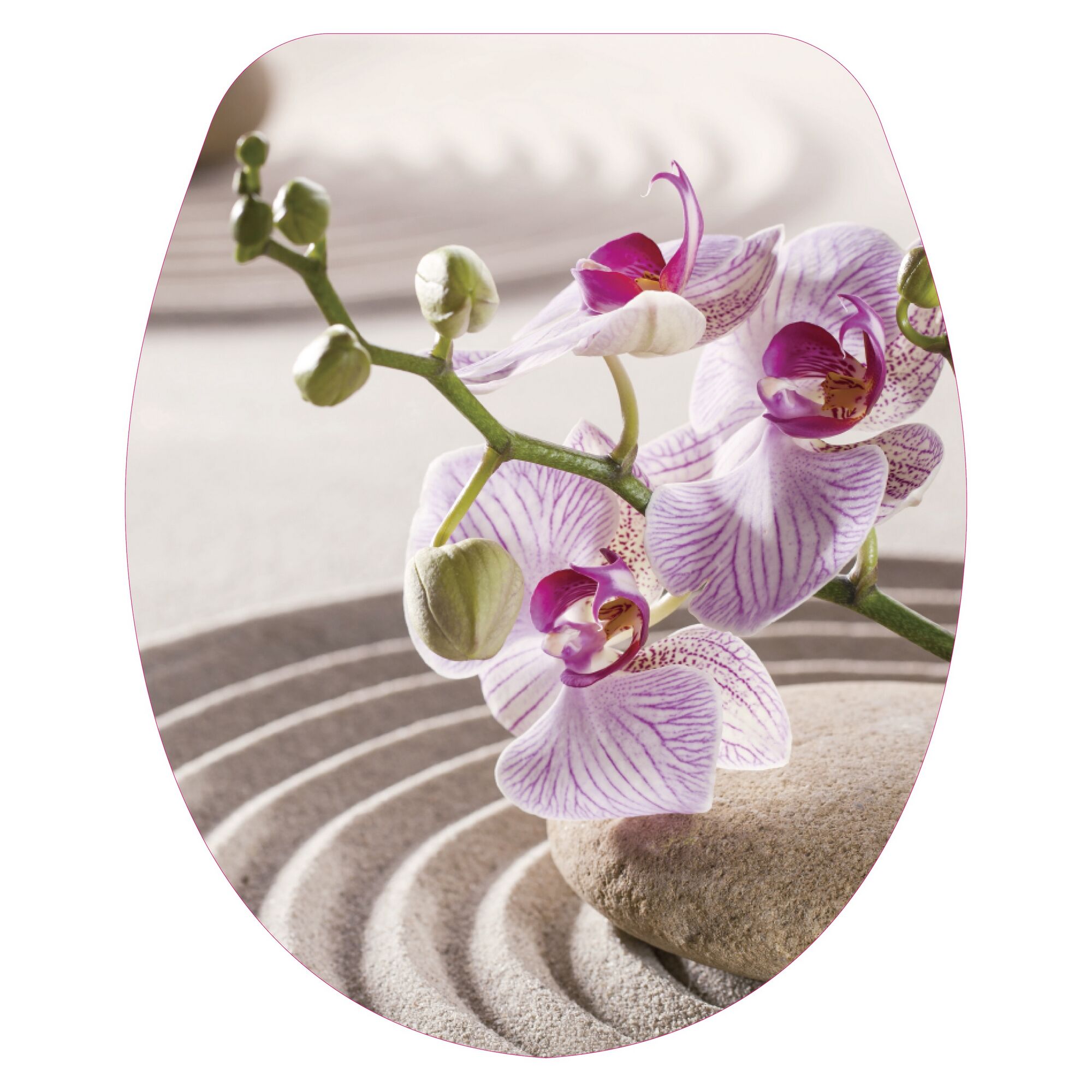 Lilie auf Stein in Sand