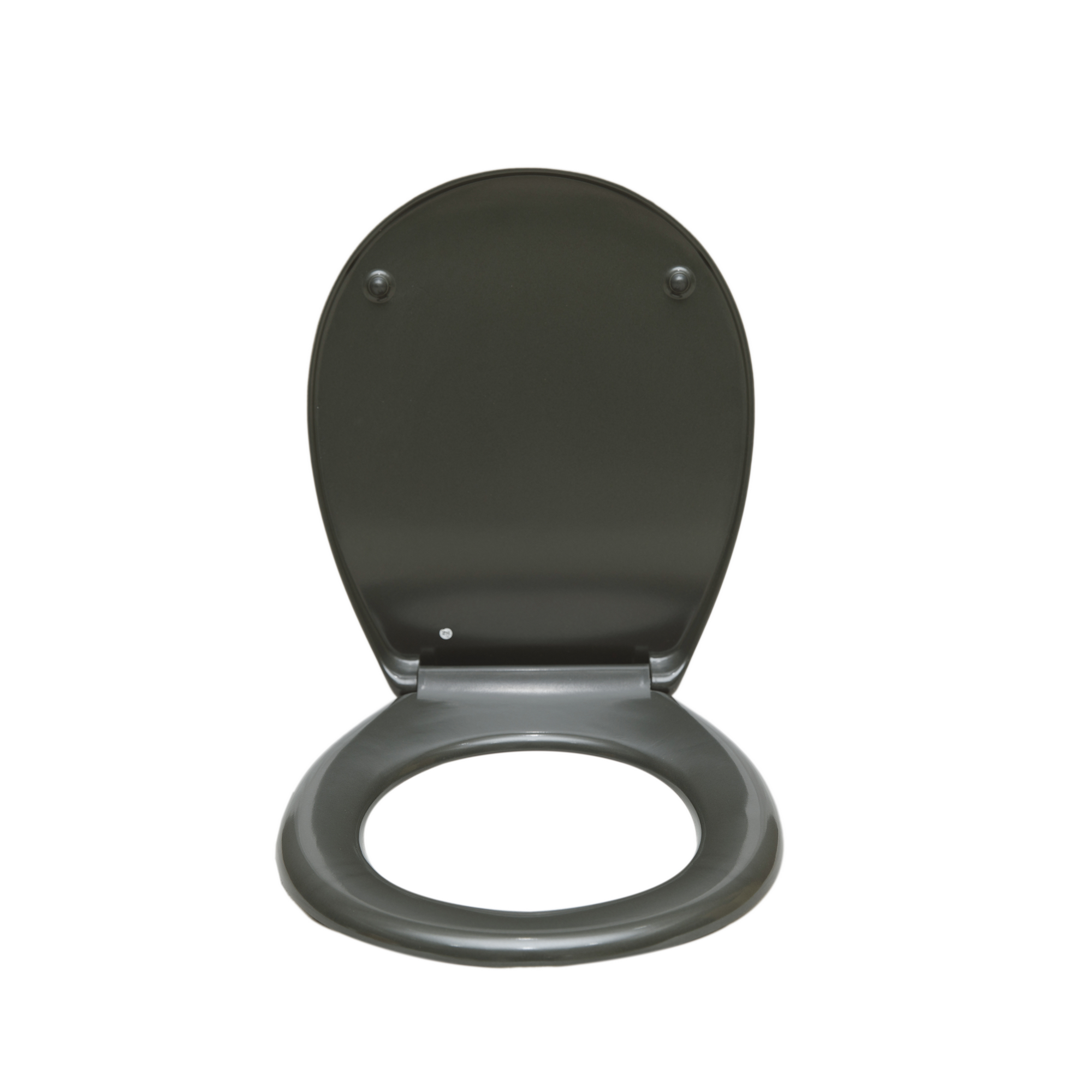 WC-Sitz 'Sanicomfort' mit Absenkautomatik anthrazit matt Duroplast
