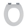 WC-Sitz 'Zement' mit Absenkautomatik betonbeige Holzkern