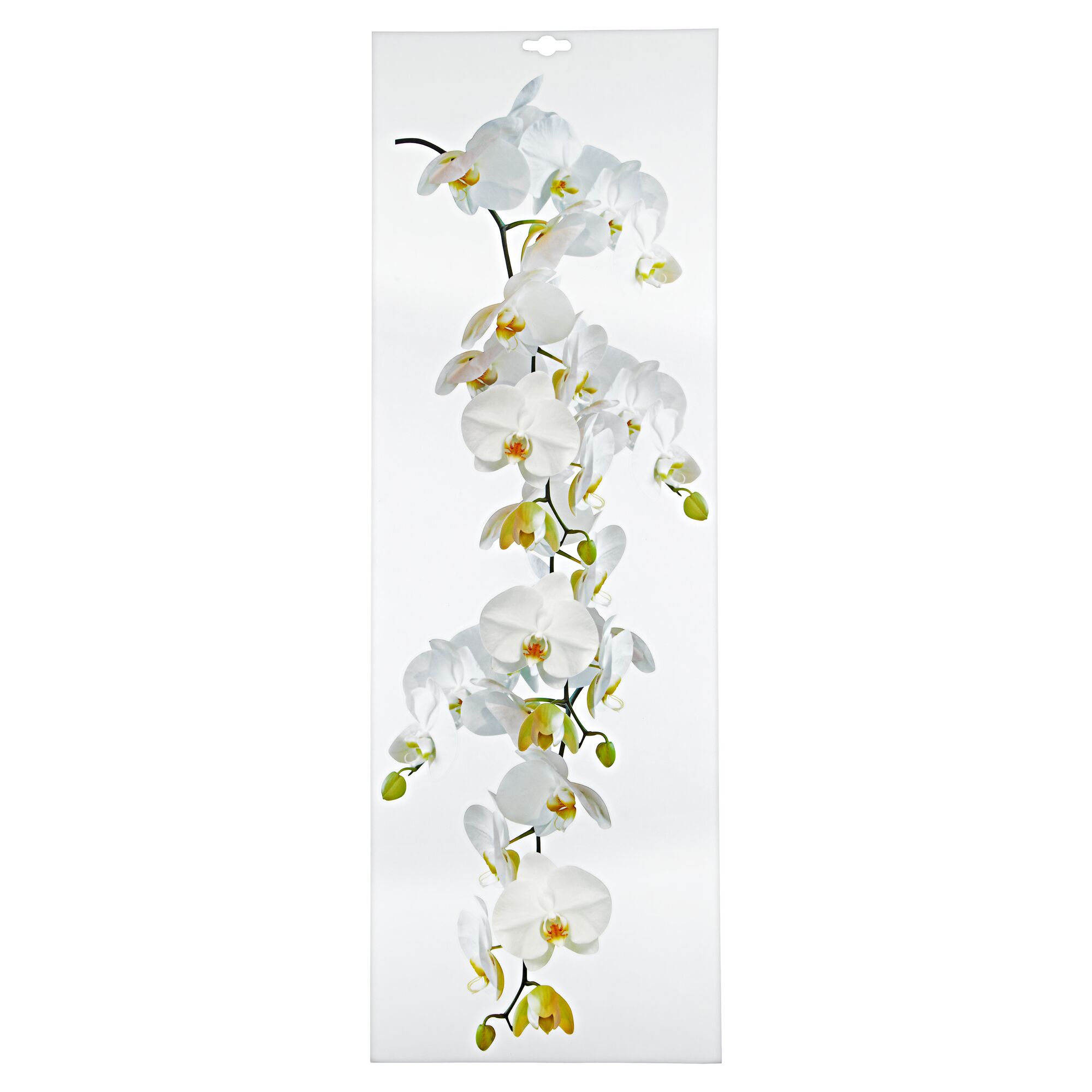 Weiße Orchideenblüten auf weißem Hintergrund