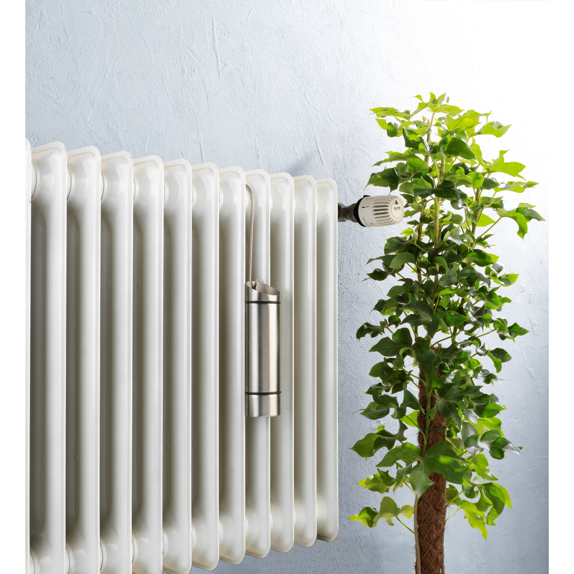 Heizkörper mit Thermostat und Luftbefeuchter, daneben eine Pflanze.
