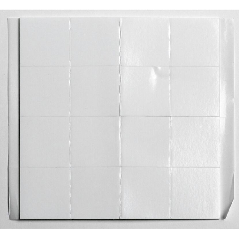 Zwölf weiße Klebepads auf Trägerpapier