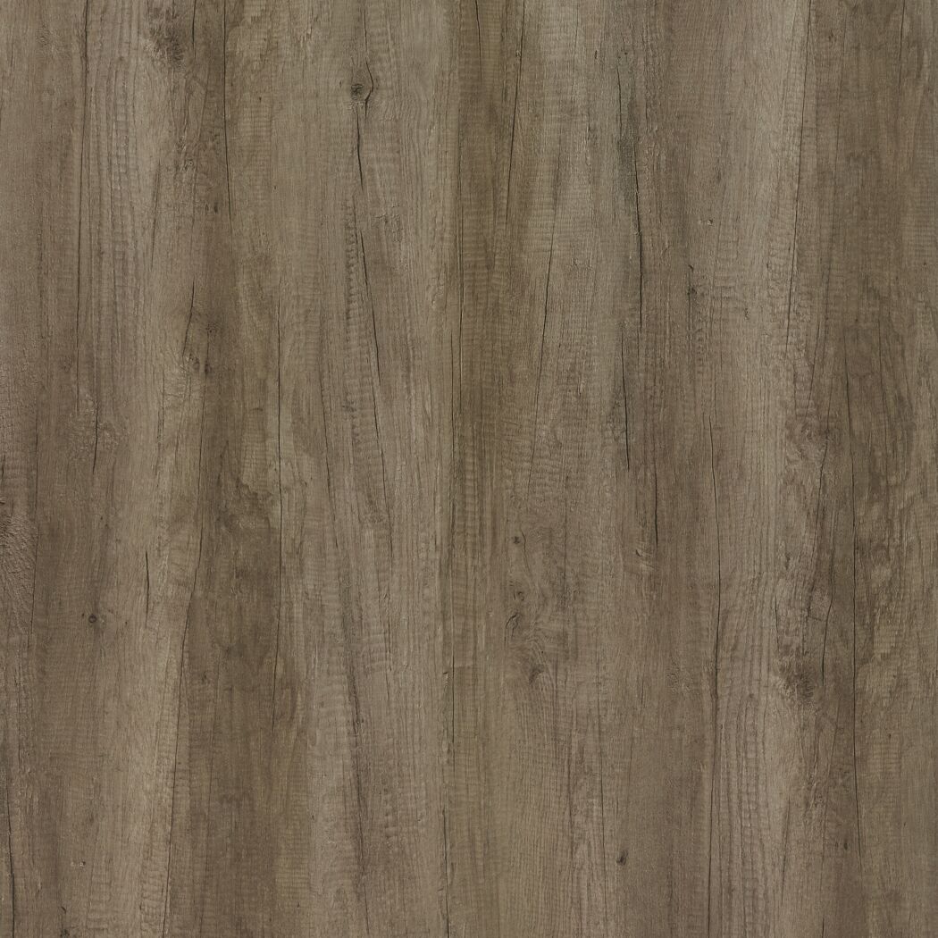 Nahaufnahme von Holz