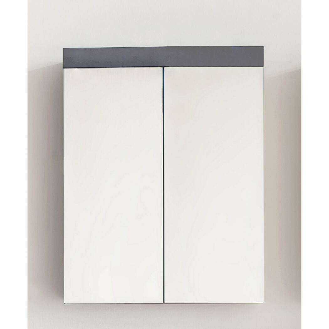 Spiegelschrank 'Amanda' grau glänzend 60 x 77 x 17 cm