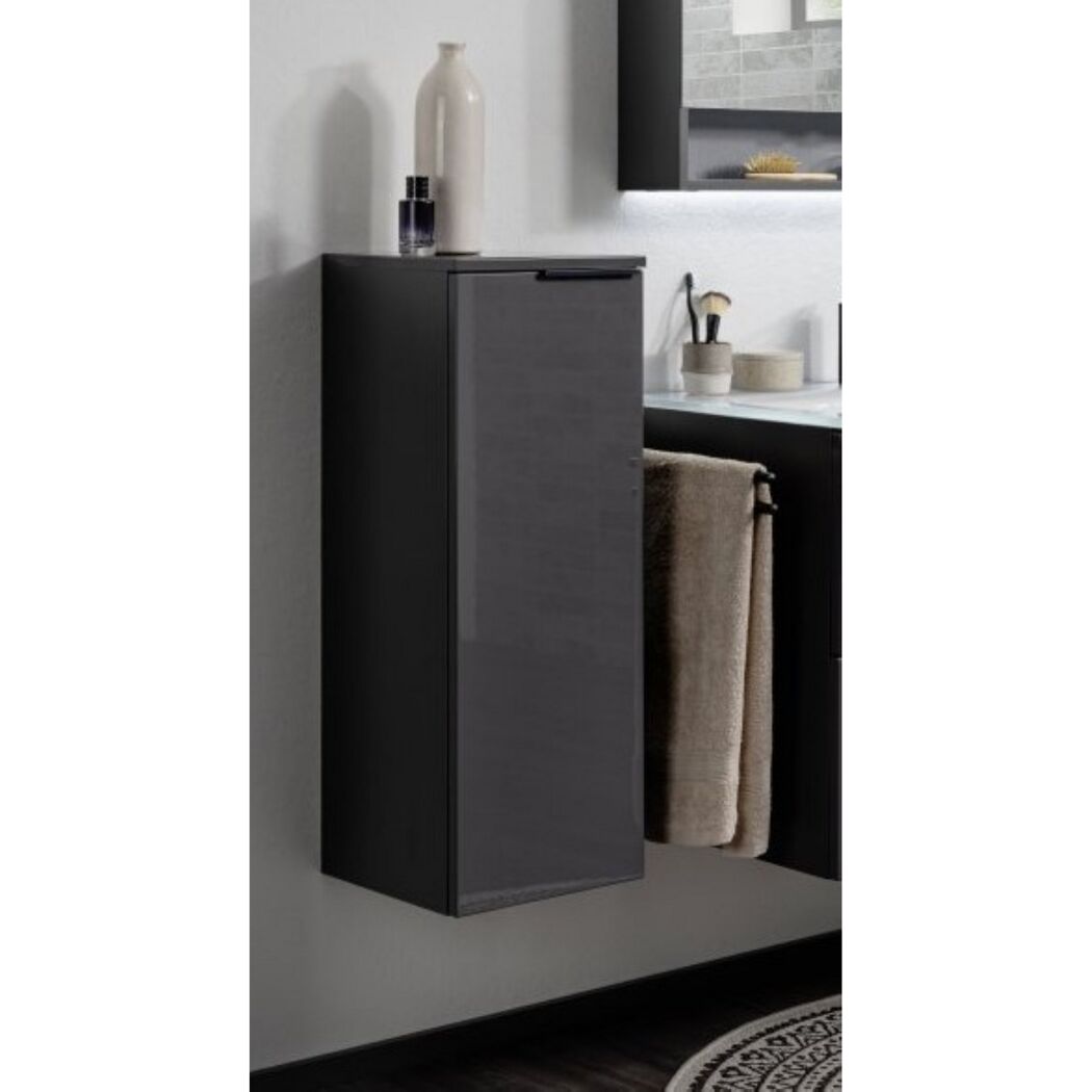 Hängeschrank LUNA Midi 1T Anthra 30,5x83x32