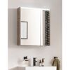 Badezimmerspiegel mit Spiegelschrank und Beleuchtung