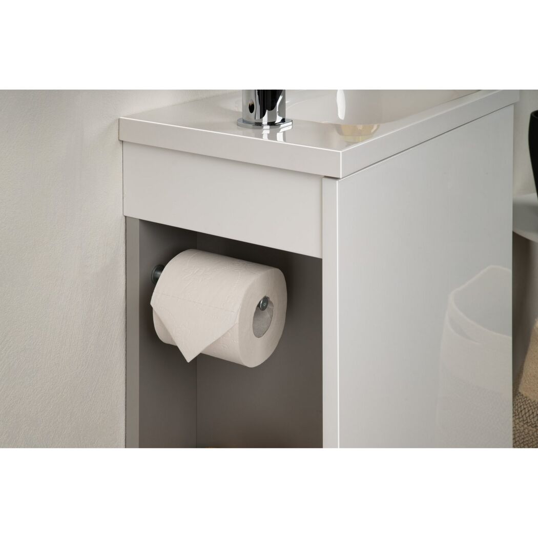 Toilettenpapier auf einer Halterung unter einem Waschbecken.