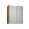 Spiegelschrank mit zwei Spiegeltüren und Holzrahmen.