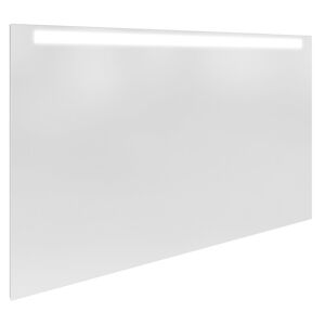 LED-Wandspiegel 'Brillant Light' aluminiumfarben 110 x 68 x 2,4 cm