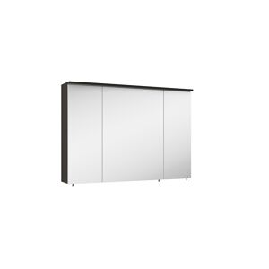 Spiegelschrank 'OPTIpremio 2510clarus' schwarz 100 x 69,6 x 17,6 cm