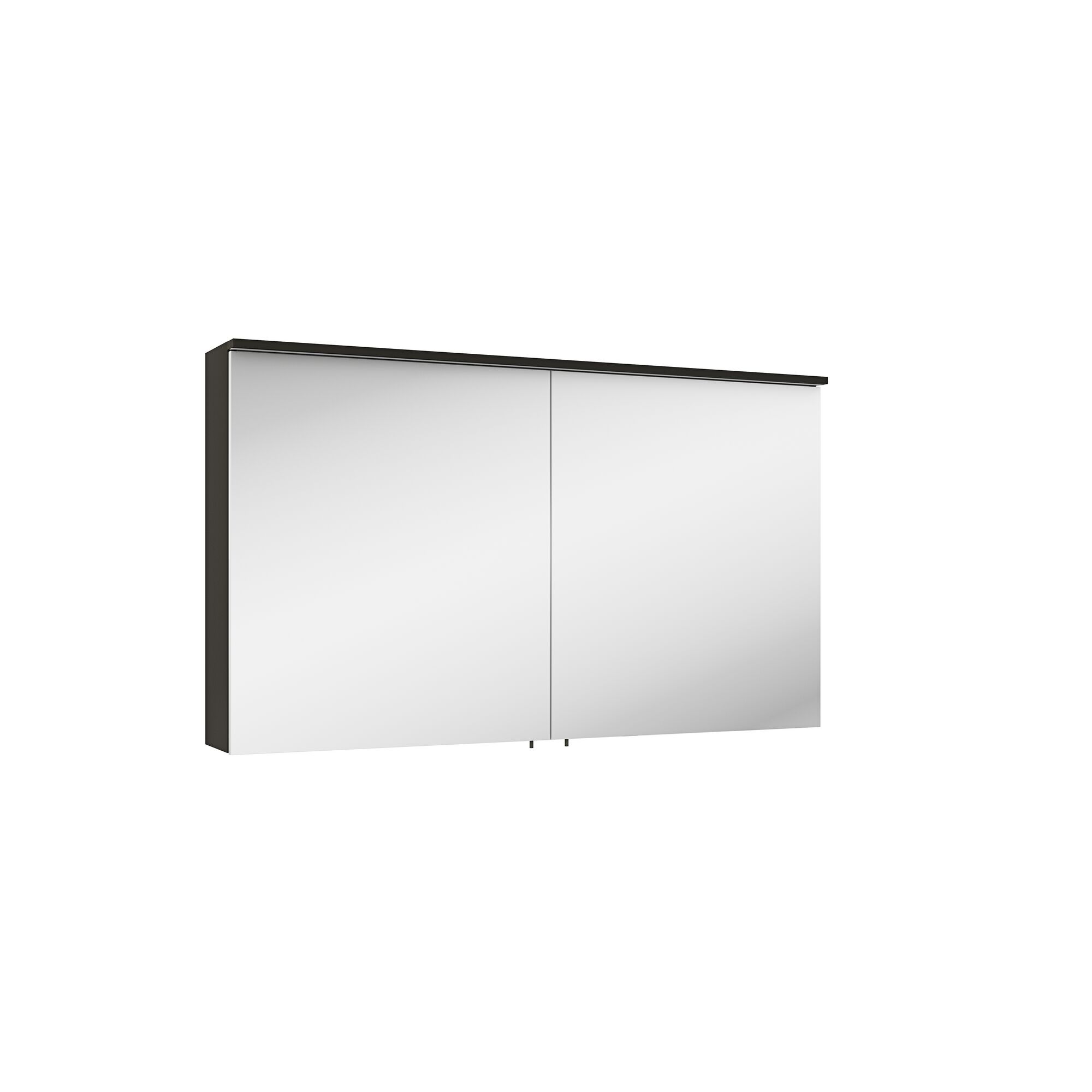 Spiegelschrank mit zwei Spiegeltüren