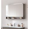 LED-Spiegelschrank 'B.Paris' grau 90 x 71,8 x 15,6 cm