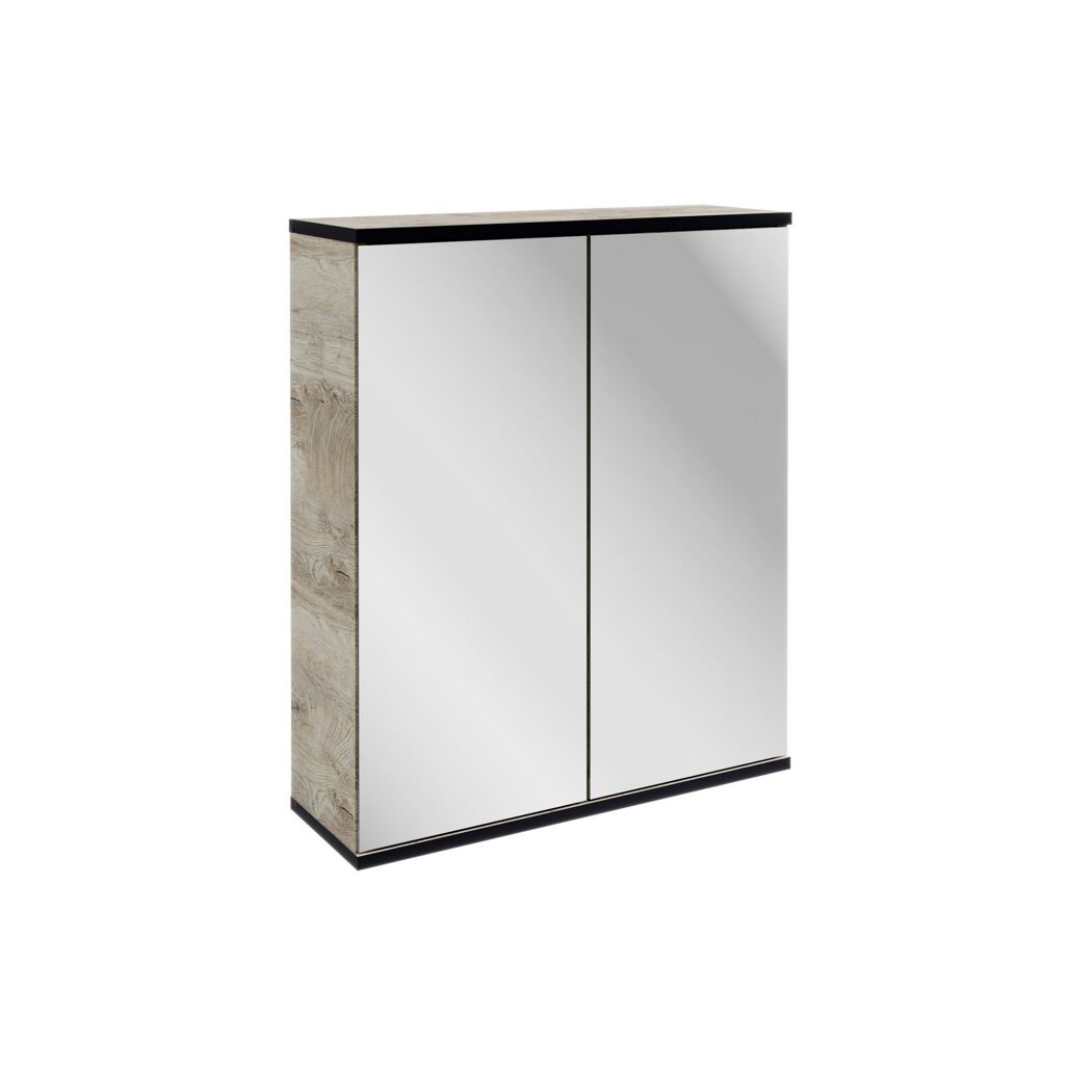 Hängeschrank mit zwei Spiegeltüren