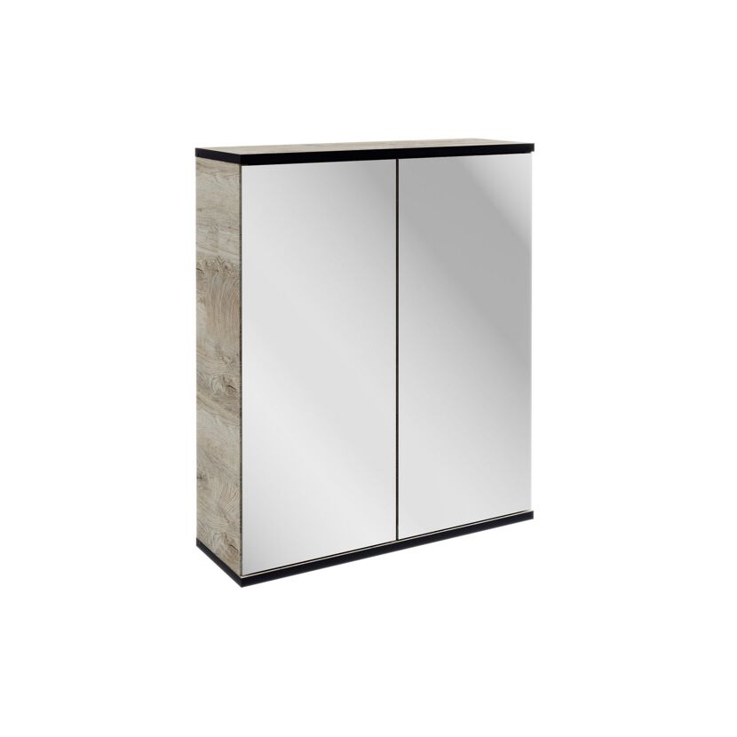 Hängeschrank mit zwei Spiegeltüren