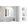 Weißer Spiegelschrank über Waschbecken im Badezimmer