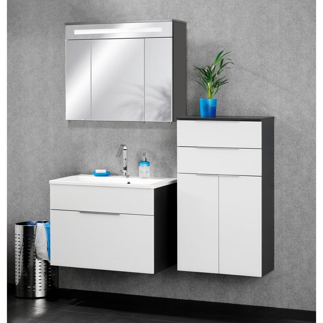 Weißer Waschtisch mit Spiegelschrank und Pflanze