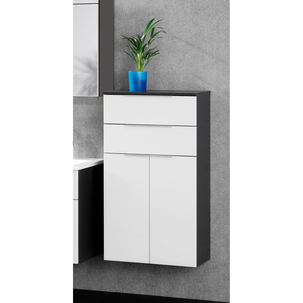 Weißer Badschrank mit Schublade und zwei Türen, darauf eine Pflanze