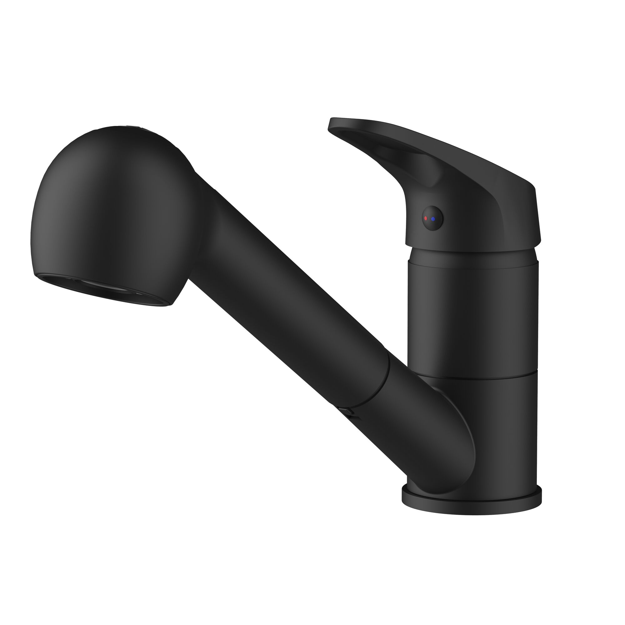 Schwarze Küchenarmatur mit Schlauchbrause.