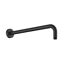 Schwarzer Dusch Arm