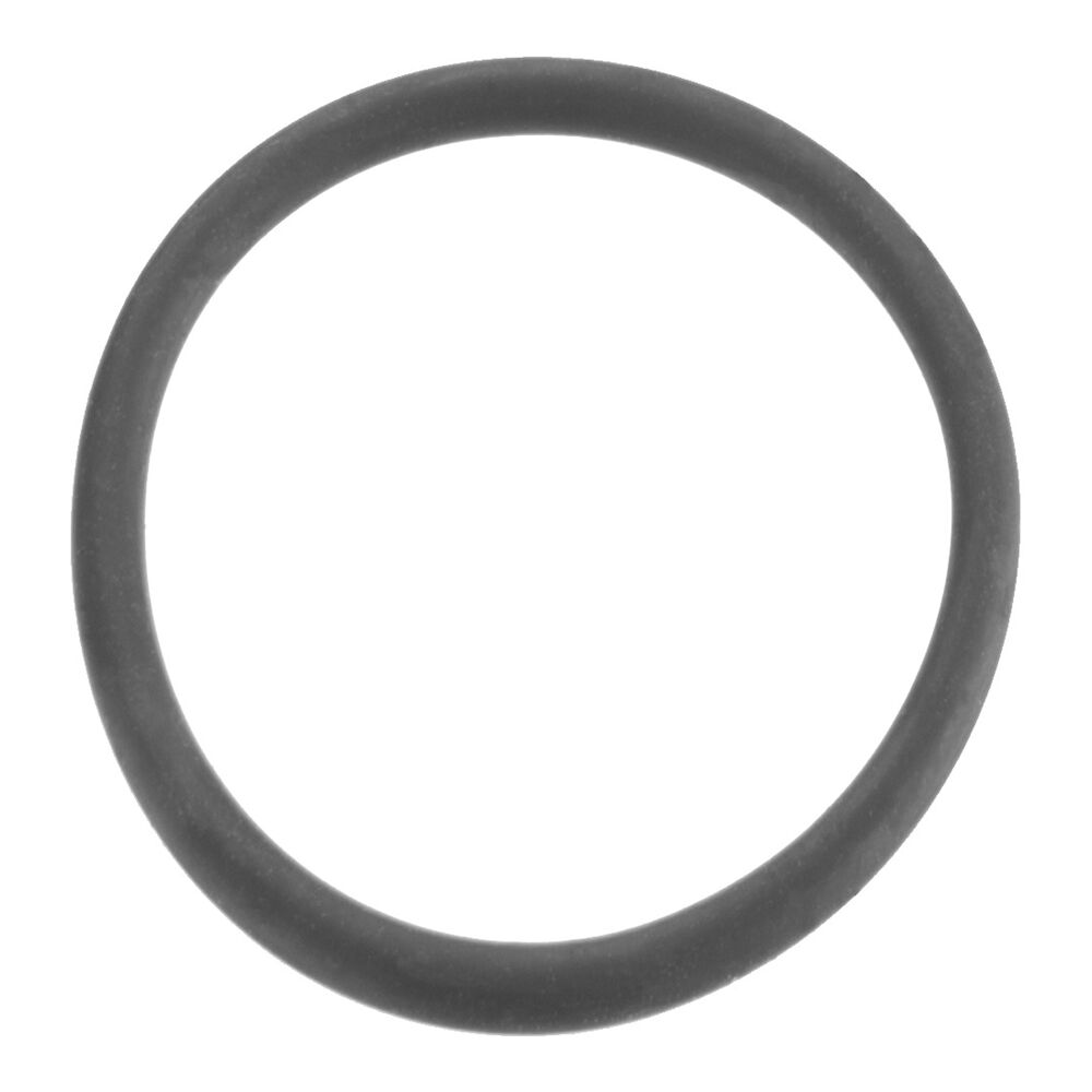 Ein schwarzer O-Ring.