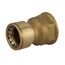 Übergangsmuffe Messing blank Ø 22 mm x 3/4" Innengewinde