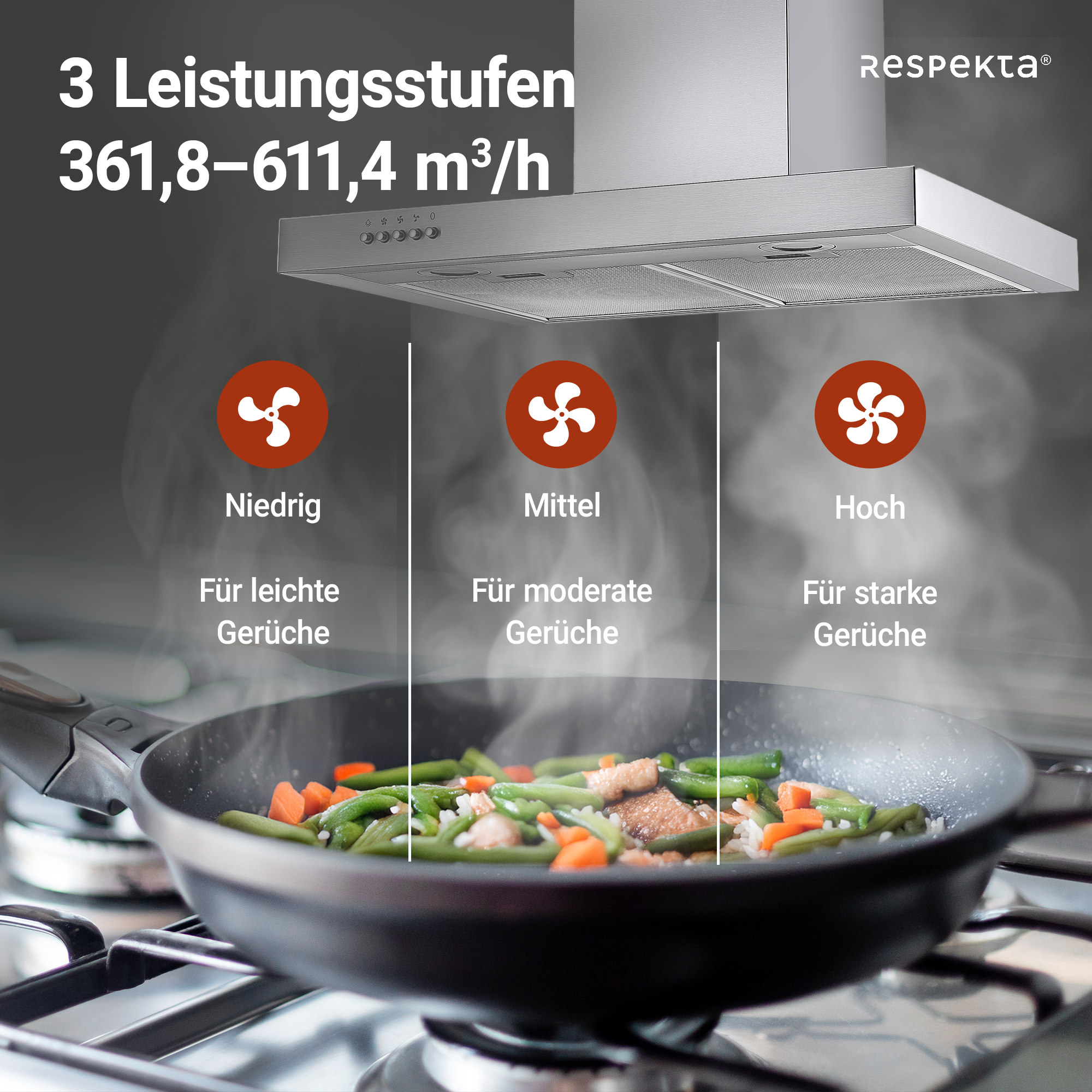 Blockhaube 'CH 22098 IXB' 60 cm, Edelstahl