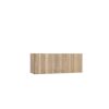 Hängeschrank mit Tür aus Holz