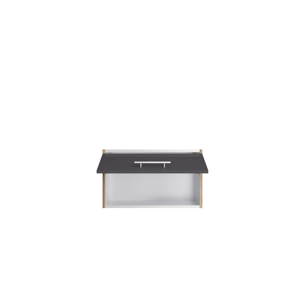 Hängeschrank mit Klappe
