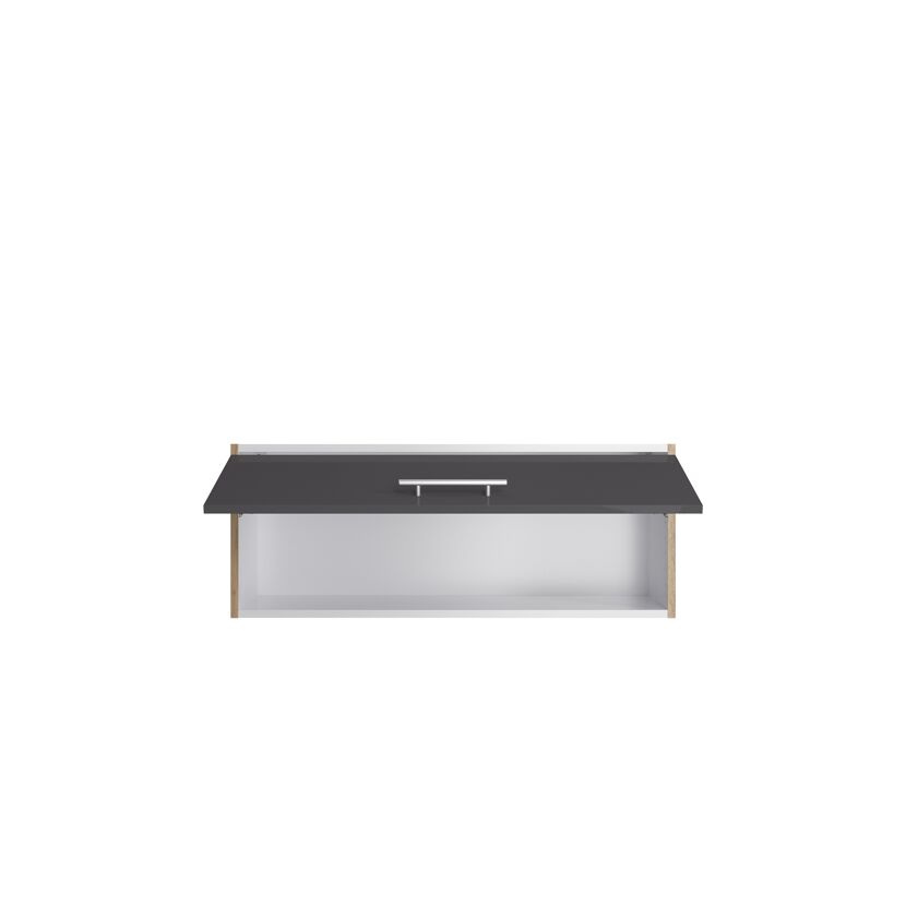 Hängeschrank mit Klappe