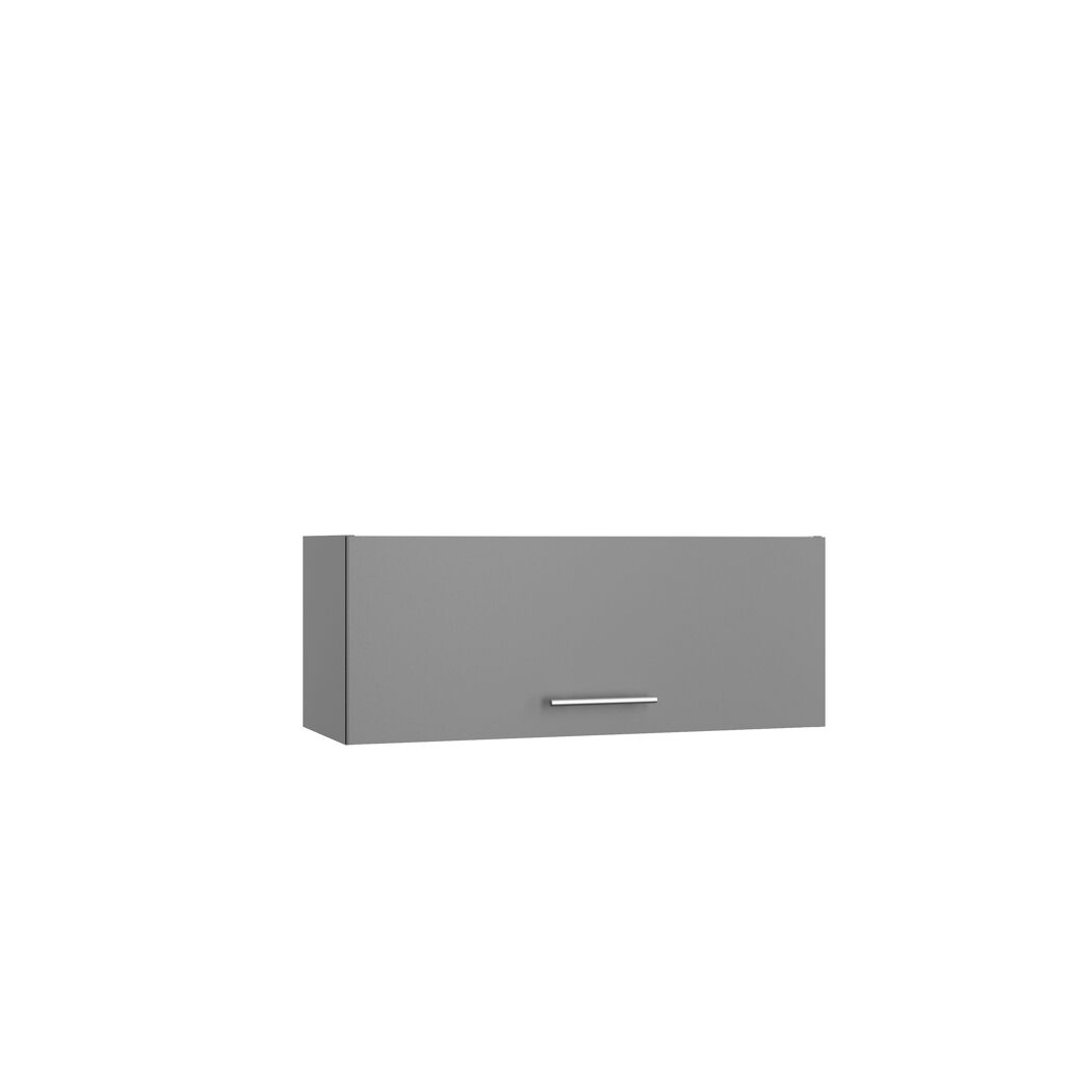 Grauer Wandschrank mit Metallgriff.