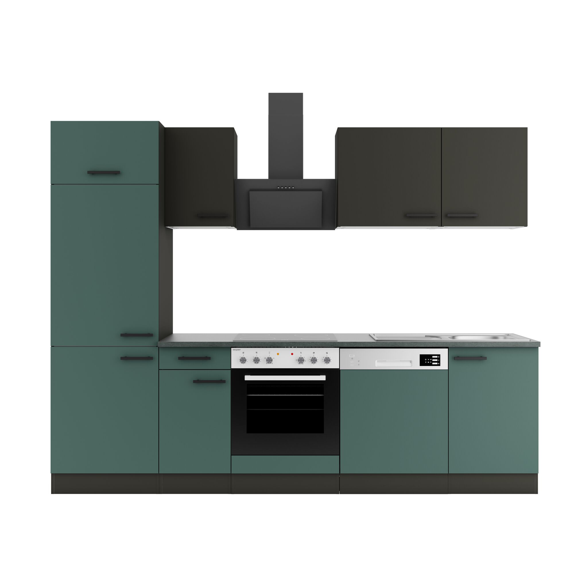 Grüne Einbauküche mit Elektrogeräten