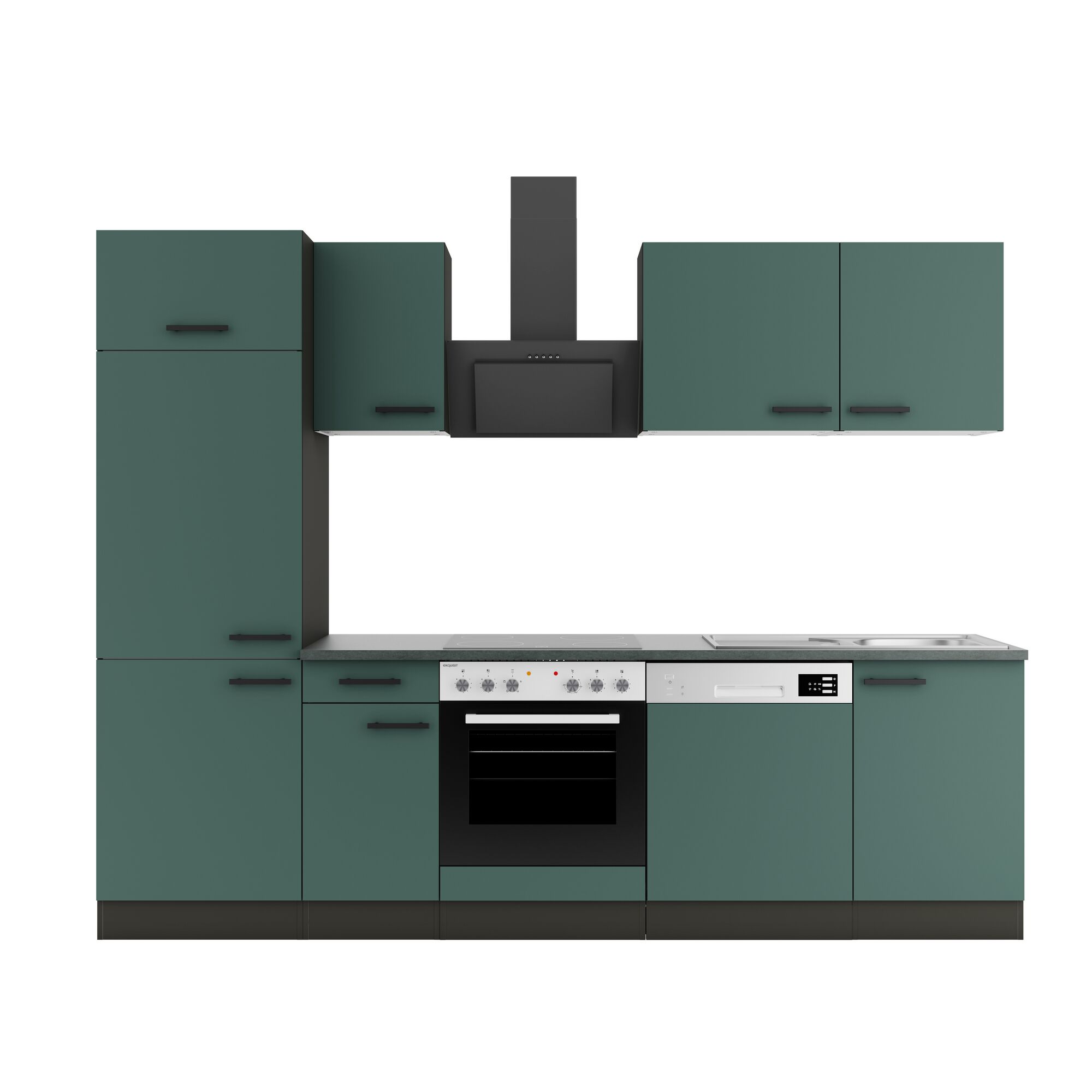 Grüne Einbauküche mit Elektrogeräten