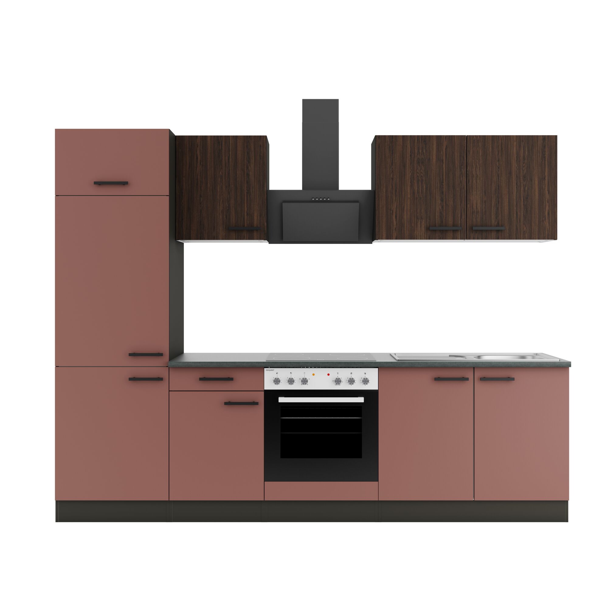 Moderne Küche mit Backofen und Dunstabzugshaube