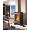 Kaminofen 'Nevada' schwarz/metallic 7,9 kW