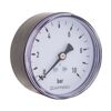 Manometer Kunststoff/Messing 1/4 Zoll
