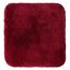 Roter Vorleger