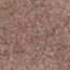 Nahaufnahme von Rasenteppich Park beige